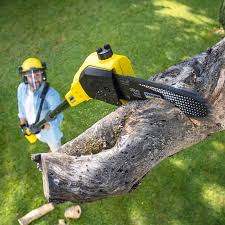 Best Lawn Irrigation Installation and Maintenance  in Leadville, CO